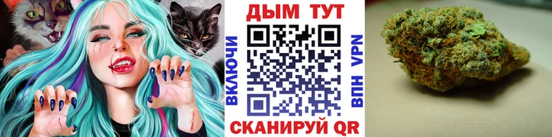 Бошки марихуана AK-47  Купить закладки  Волжский 